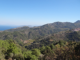 Von Stavrinides führt ein gut ausgeschilderter Wanderweg nach Manolates: vorbei an wilden Wäldern, Weinbergen, Oliven- und Obstbaumhainen.