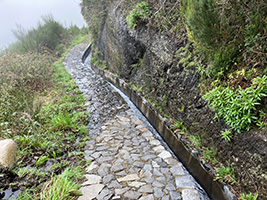 Levada do Lombo de Mouro im Serra de Água unterhalb der ER110; Das Wasser fließt hier oben von fast jeder Wand.
